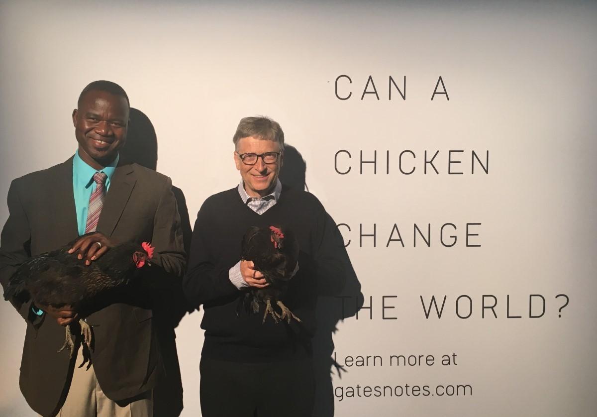 Post image by Bill Gates